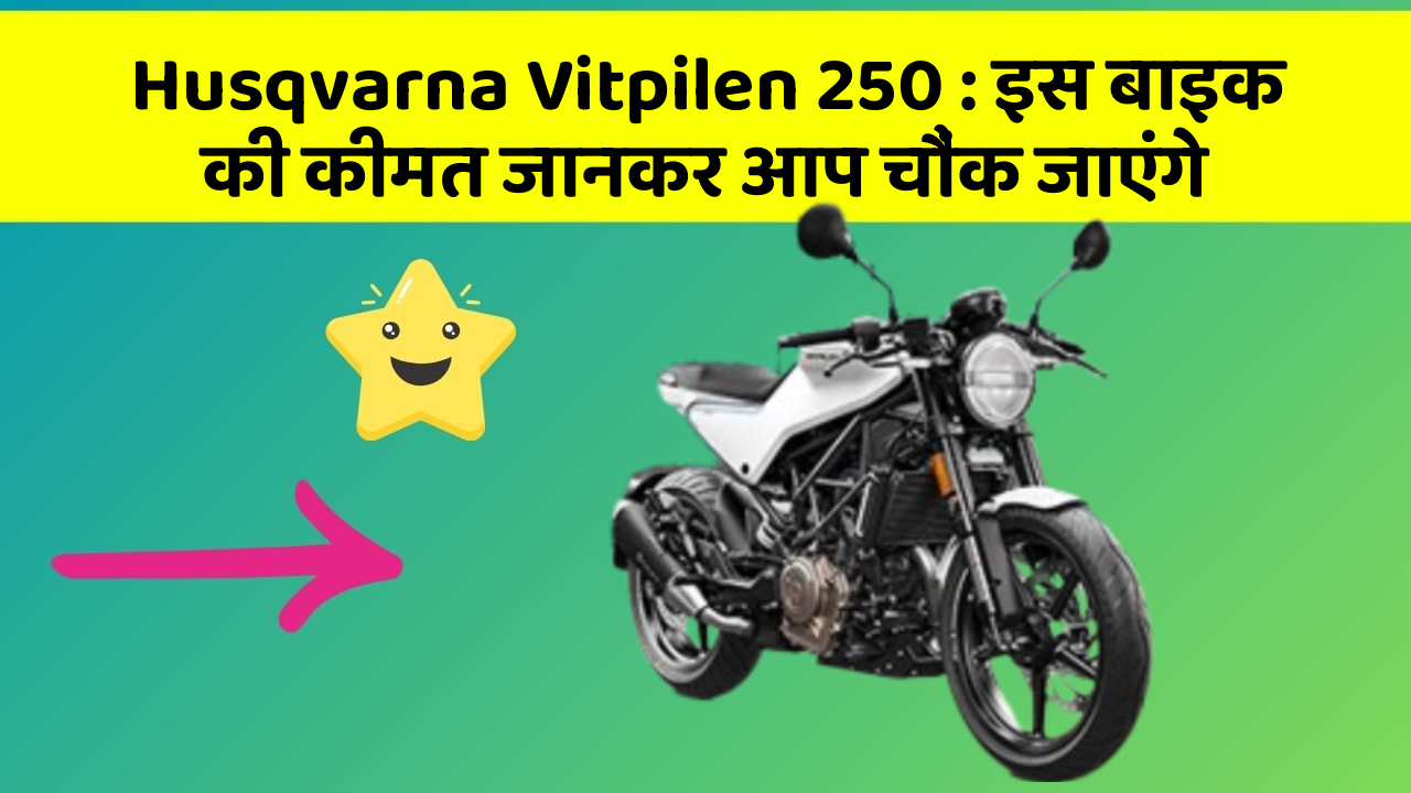 Husqvarna Vitpilen 250: इस बाइक की कीमत जानकर आप चौंक जाएंगे